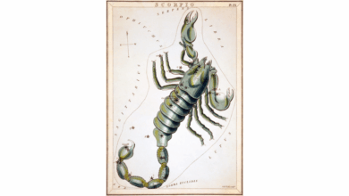 What You Need to Know About Scorpio (Even If It’s Not Your Sign)
