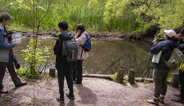 Why Snakes Matter: A Deep Dive into Ontario’s Reptilian Residents Why Snakes Matter: A Deep Dive into Ontario’s Reptilian Residents