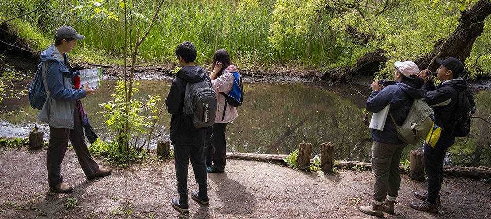 Ontario Nature Youth Council Herp Hike at Grenadier Pond, High Park