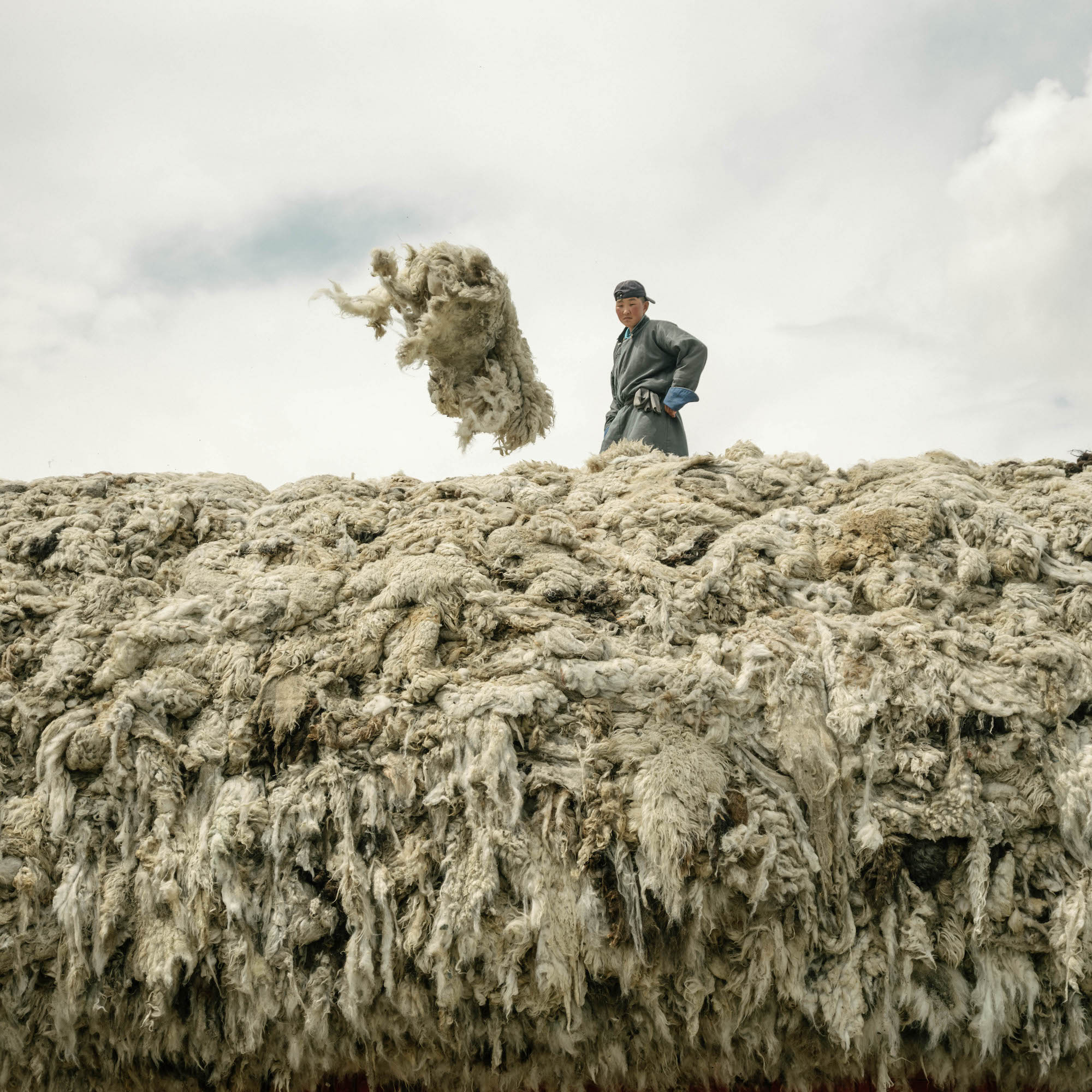 A herder standing atop a large pile of freshly shorn wool.