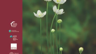 BSBI press release – New GB Red List for vascular plants published today – Mark Avery