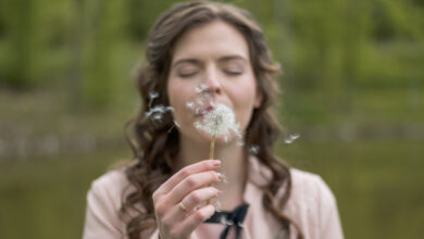 Intuitive Alignment – Reconnecting to Our Intuitive Ground