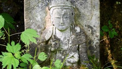 Linji’s True Dharma Eye (1) – Zen Fools