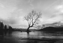 Living In The Grey – About Meditation