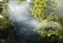 Meet it with Silence – Mindfulbalance