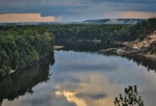 Meet the Apalachicola Redhorse, a New Fish Species