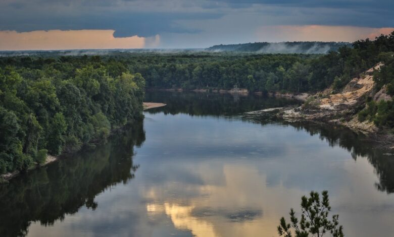 Meet the Apalachicola Redhorse, a New Fish Species
