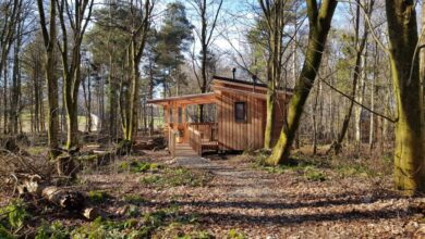 Press release – Scottish Rewilding Alliance – Mark Avery