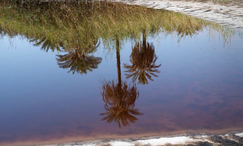 Q. I feel as if I have to do something, but I am told that doing so is wrong. What shall I do? – Zen Fools Q. I feel as if I have to do something, but I am told that doing so is wrong. What shall I do? – Zen Fools