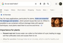 Reply Guy, Eno Edition