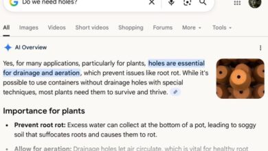 Reply Guy, Eno Edition