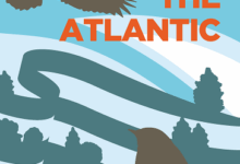 Wings Across the Atlantic – Mark Avery